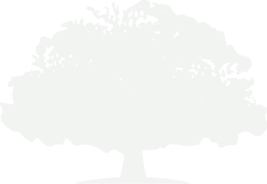 Vente de végétaux, plantes fleuries, plantes aromatiques, haies, arbres et arbustes